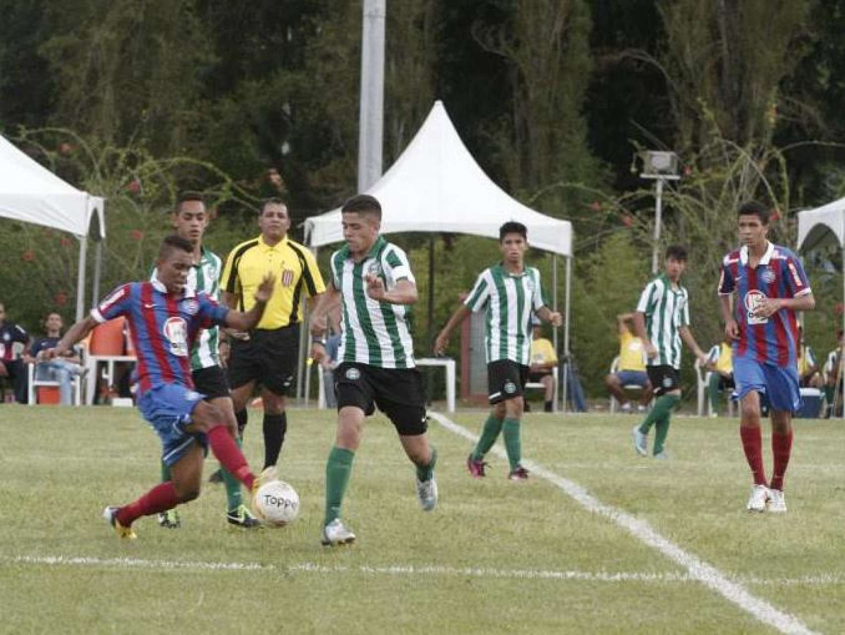 Boa estreia