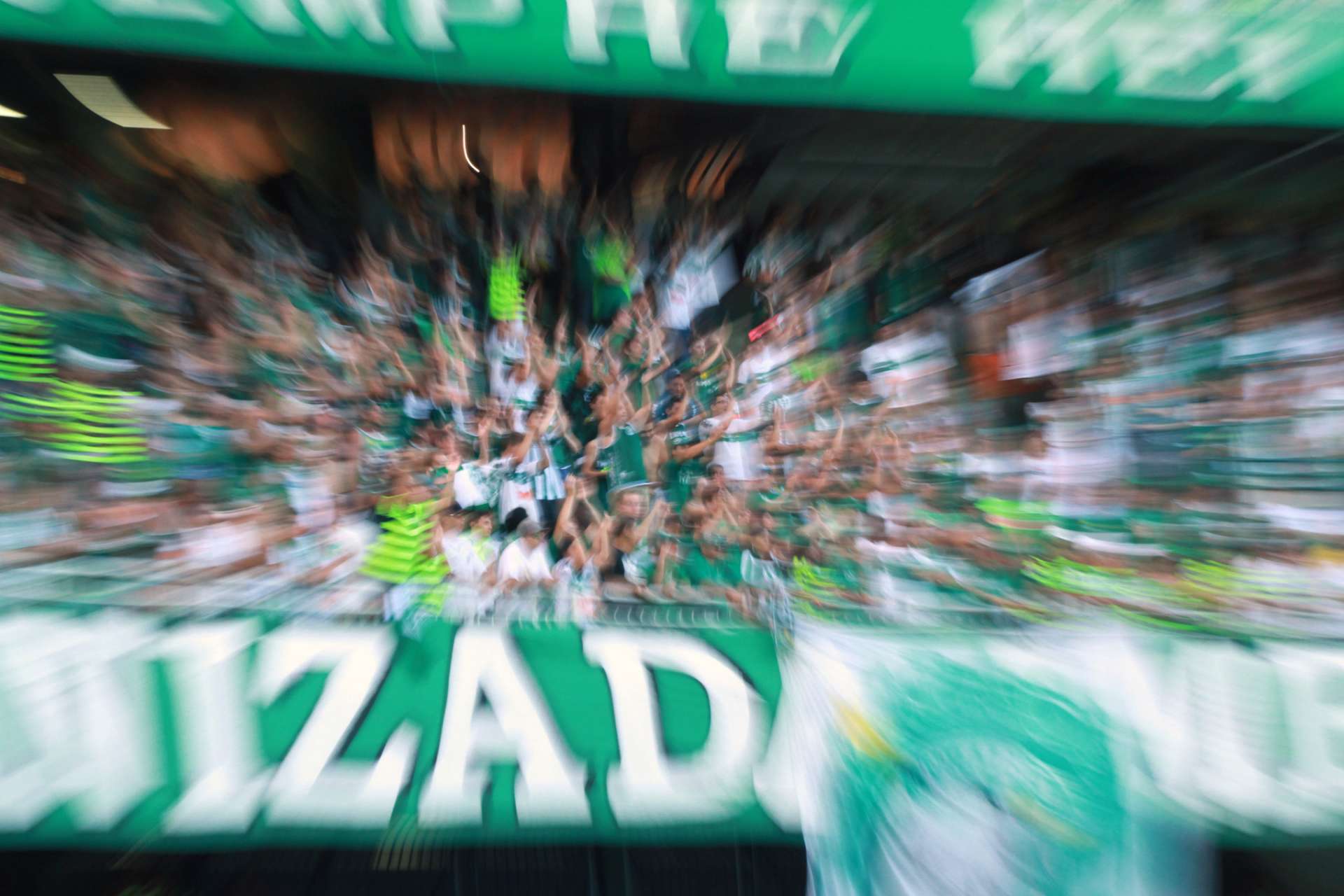 Torcida alviverde