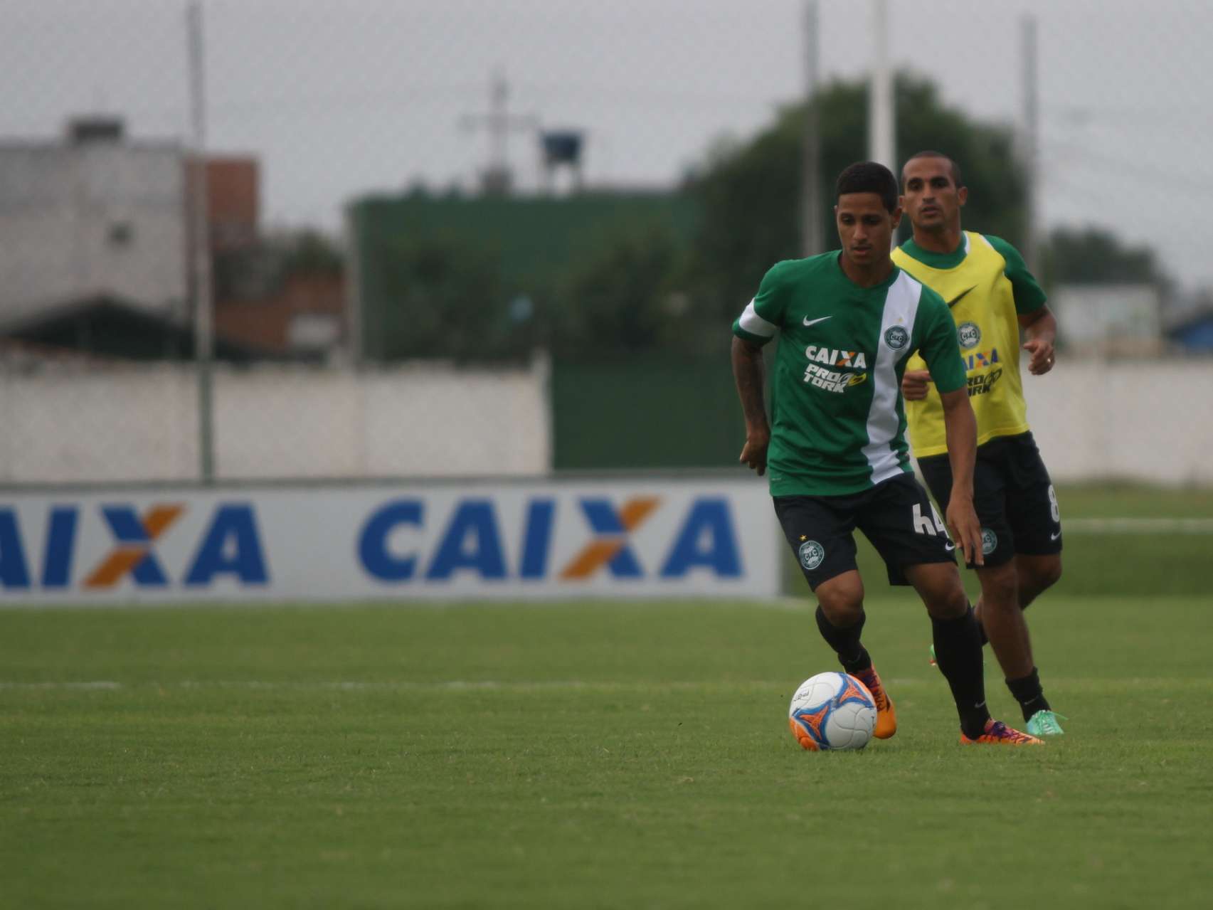 Boletim do CEECOR