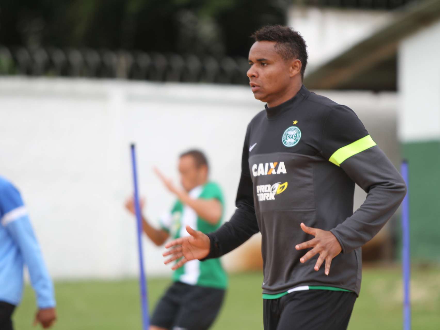 Novatos anseiam estreia