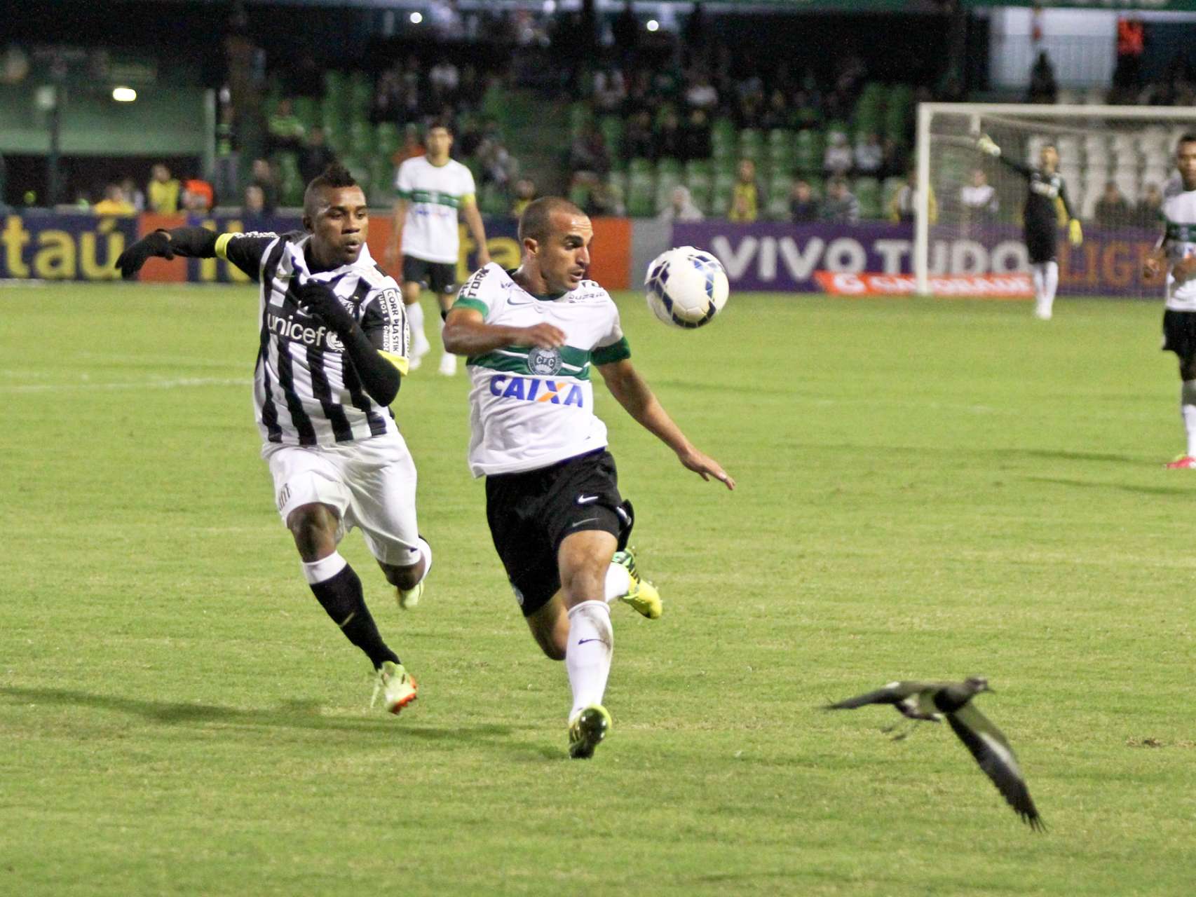 Coritiba empata com o Santos
