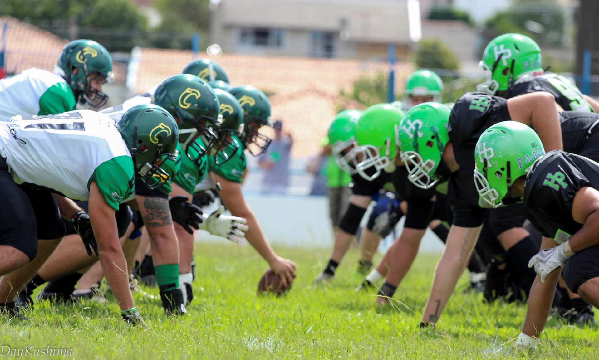 Crocodiles na final