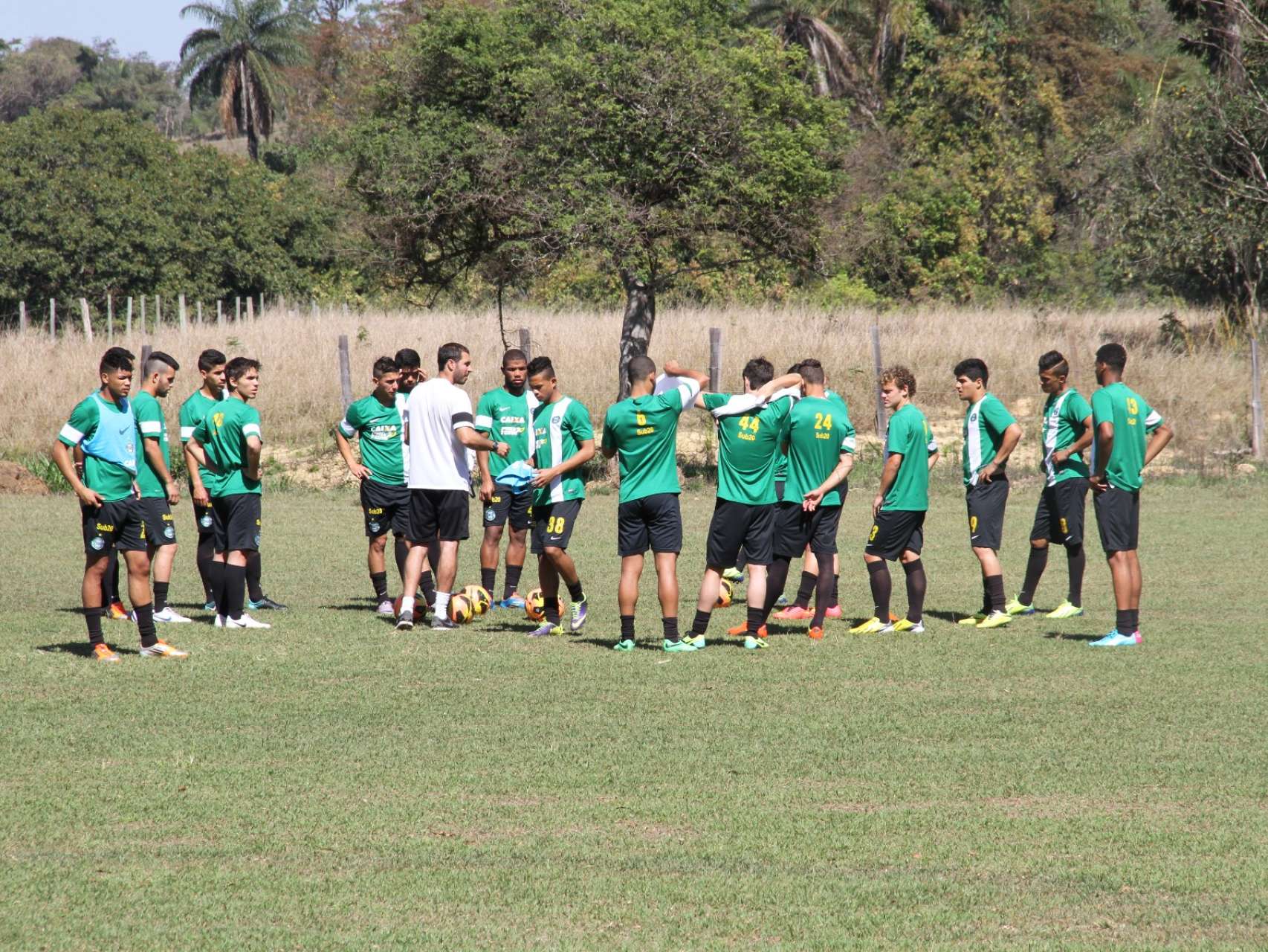 Coxa treina em Minas Gerais