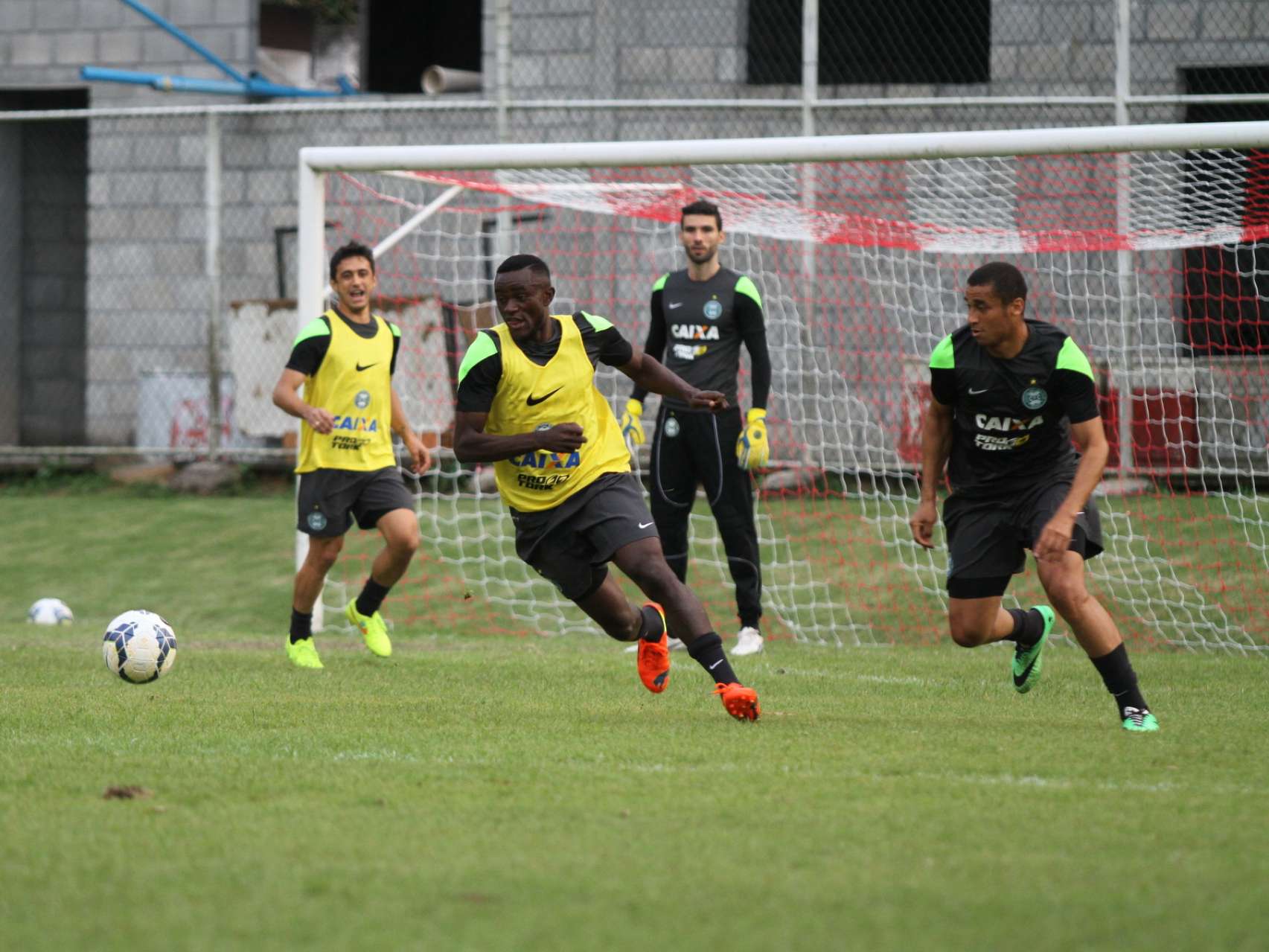 Galeria Coxa: �ltimo treino