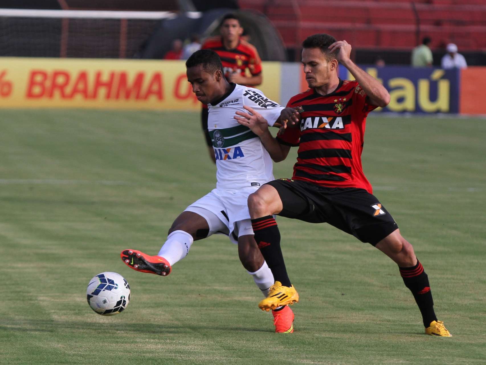 Coxa perde em Recife