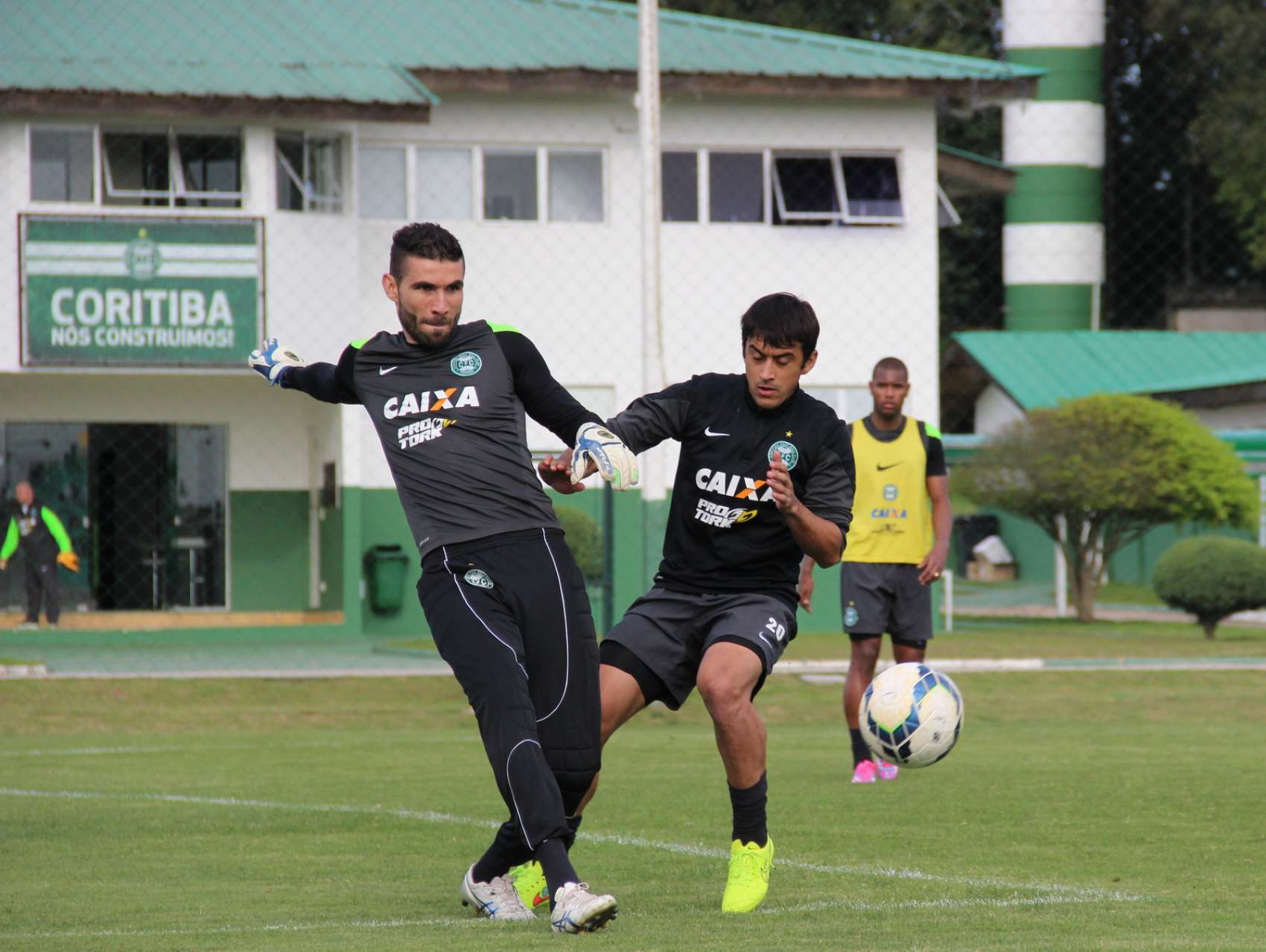 Galeria Coxa: reapresenta��o