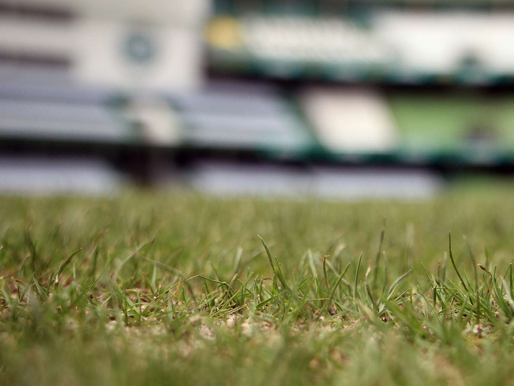 Manuten��o do gramado