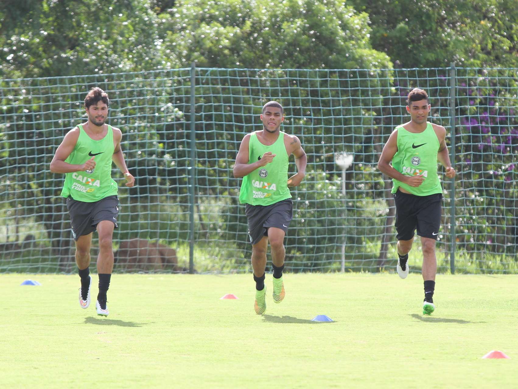 Imagens do treino 