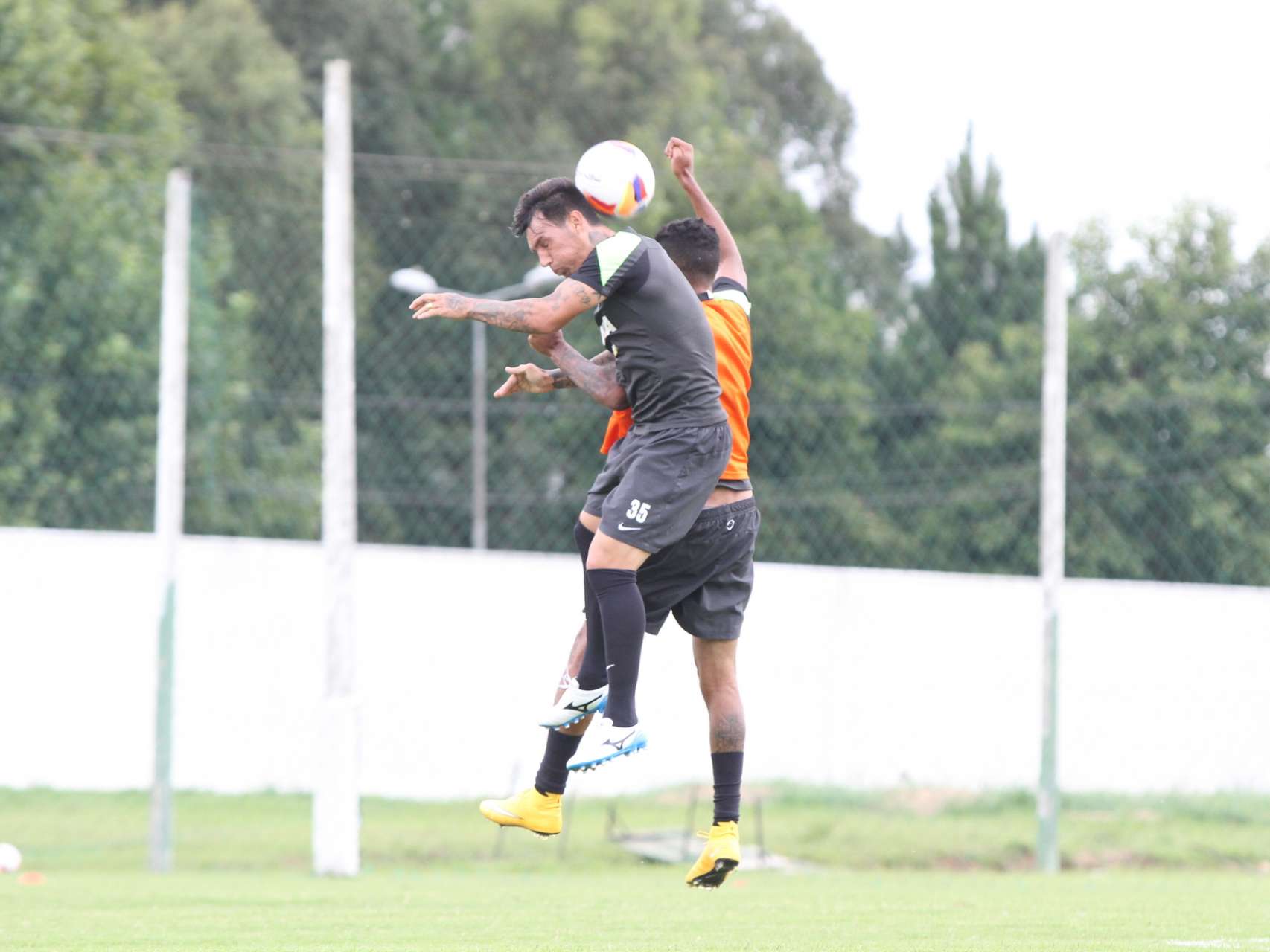 O treino em fotos