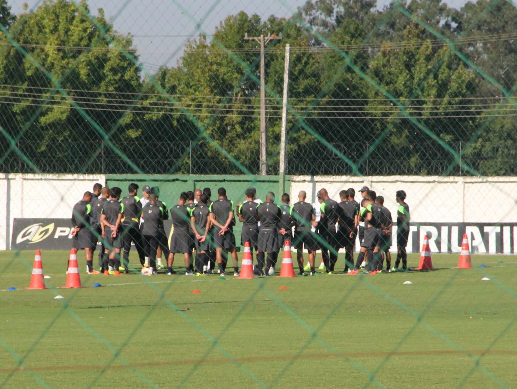 Relacionados