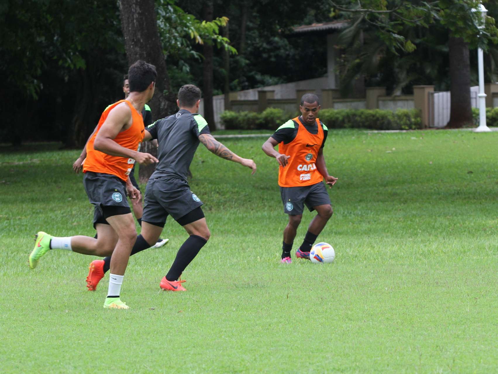 Treino em imagens