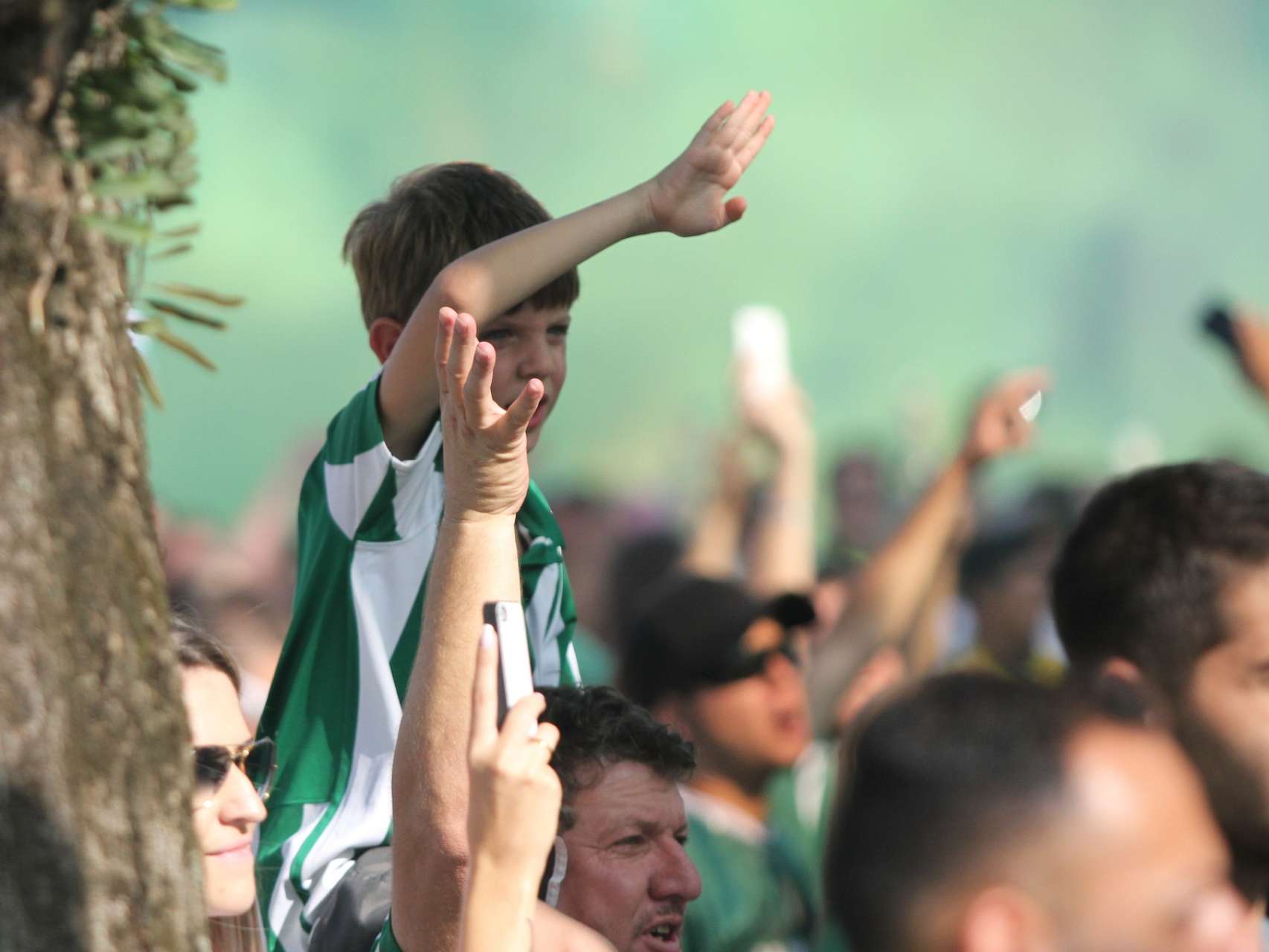 �ltimos ingressos