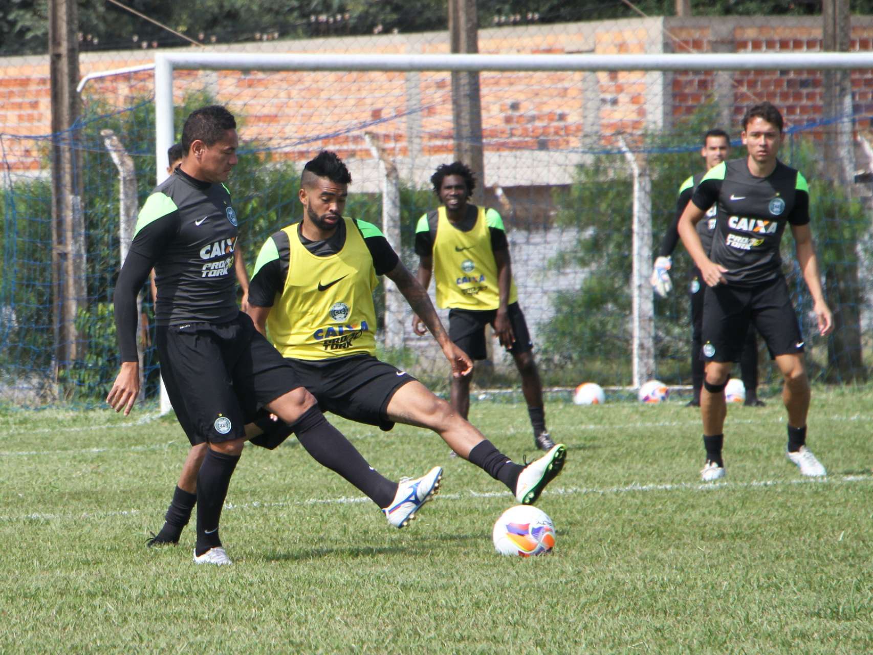 Galeria de fotos em Cascavel