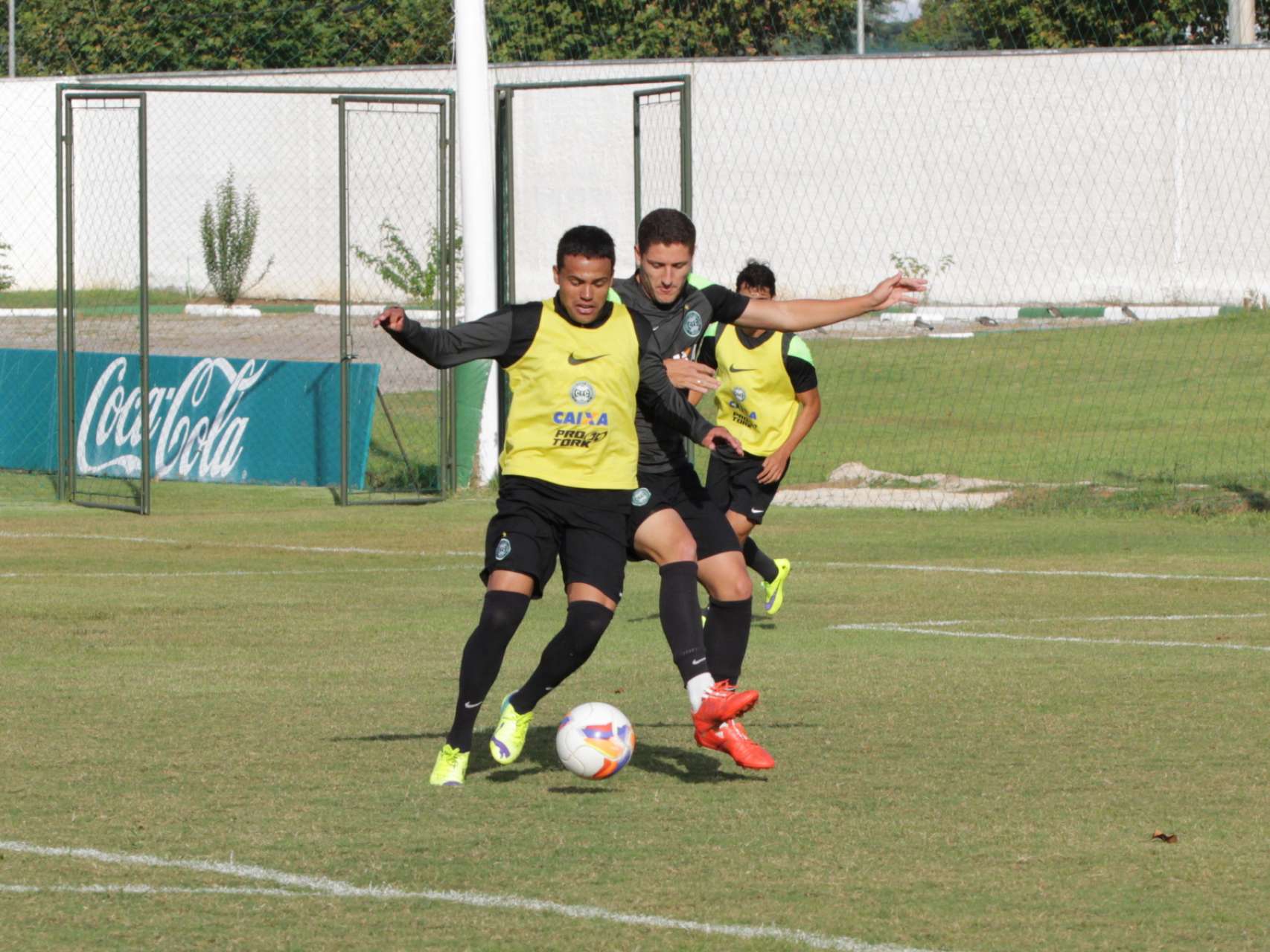 Galeria Coxa: reapresenta��o