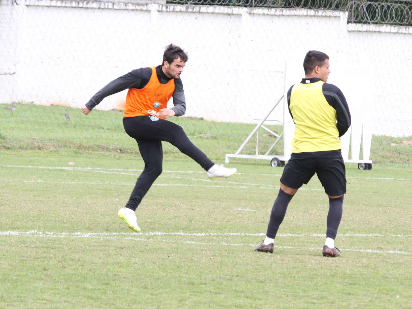 Grande desafio