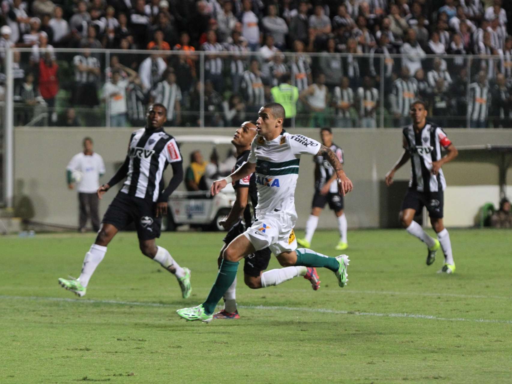 Galeria Coxa