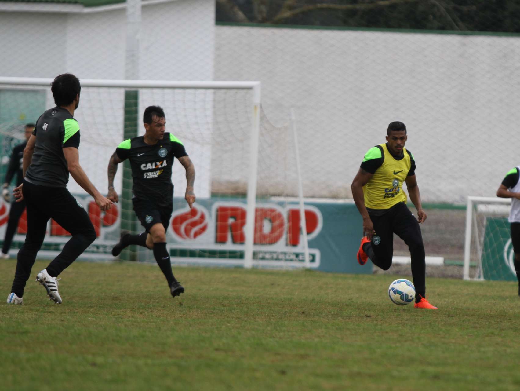 Galeria: Prepara��o