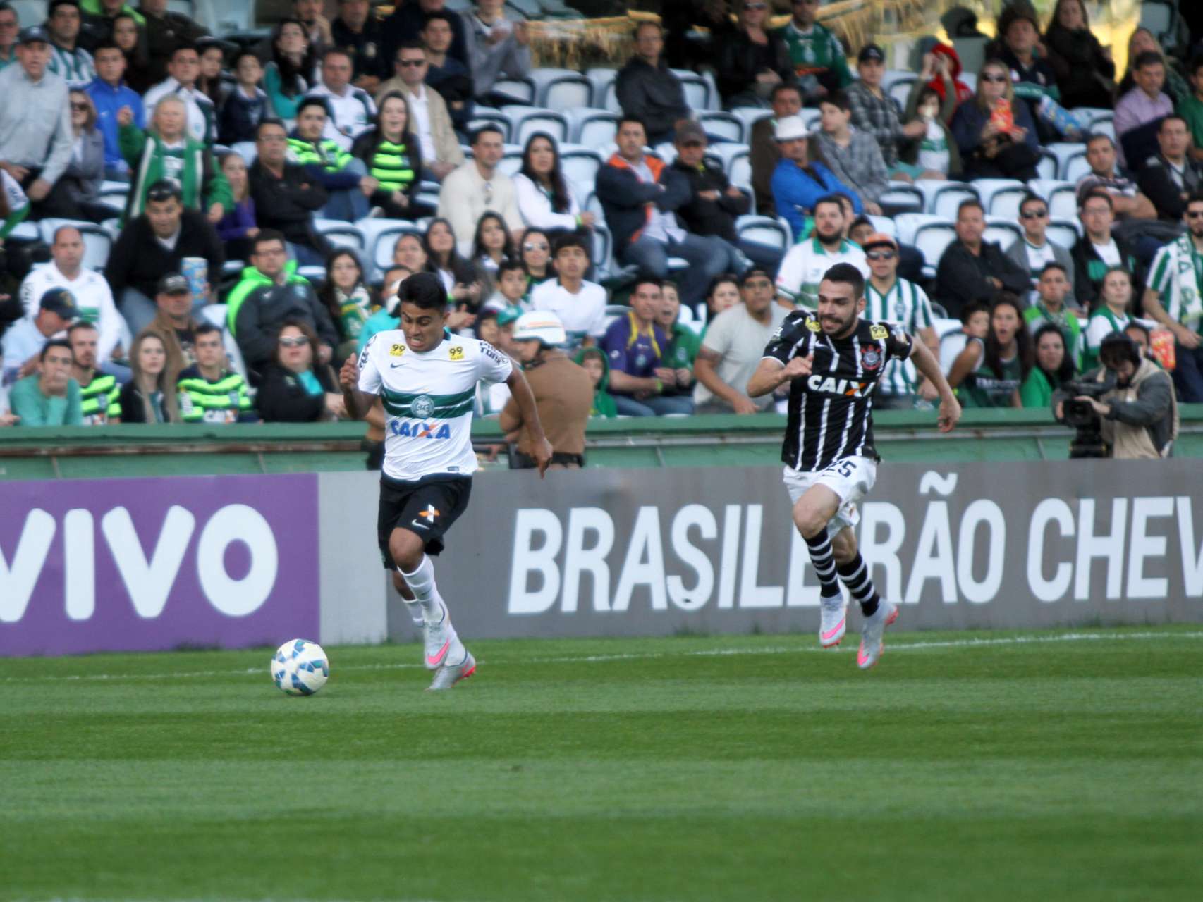 Galeria Coxa