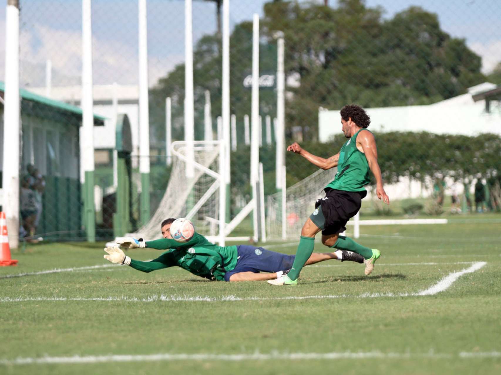 Fotos de mais um treino alviverde