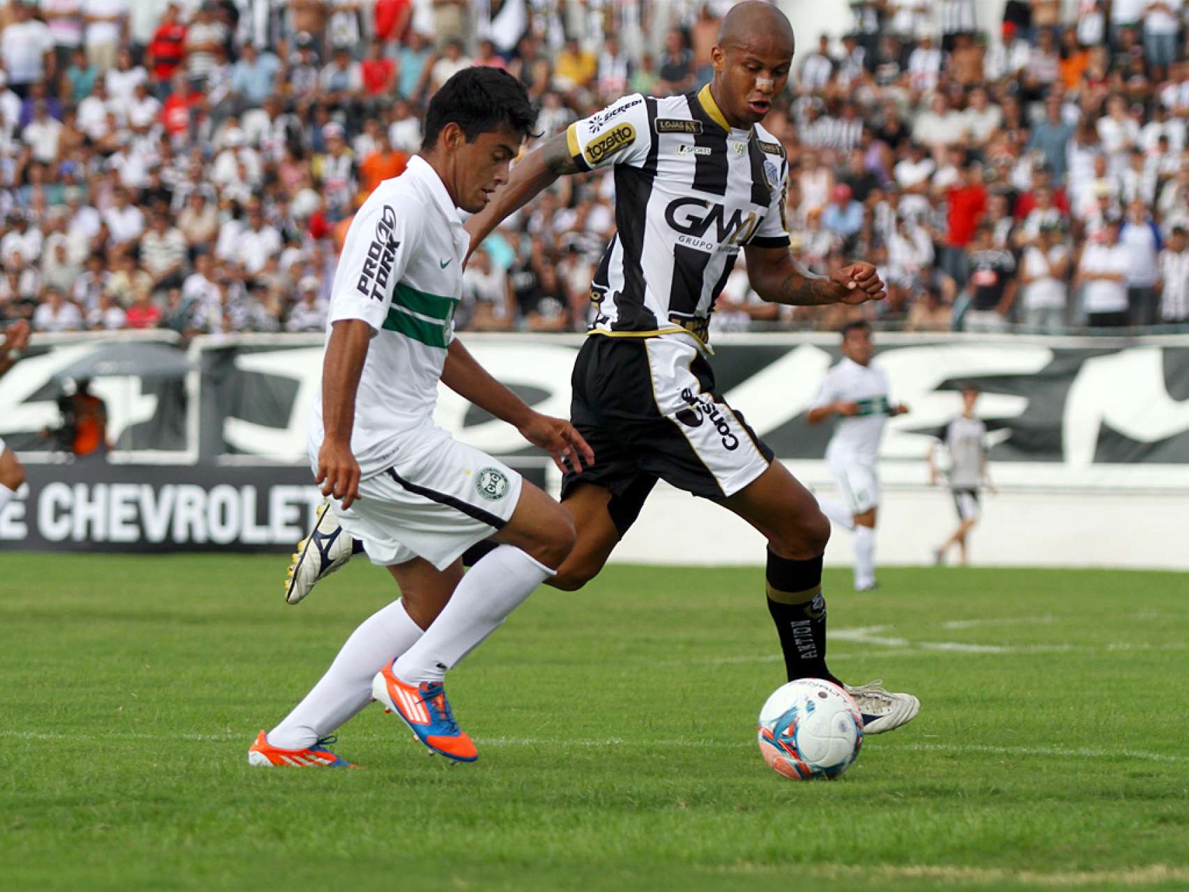 Boletim do CEECOR
