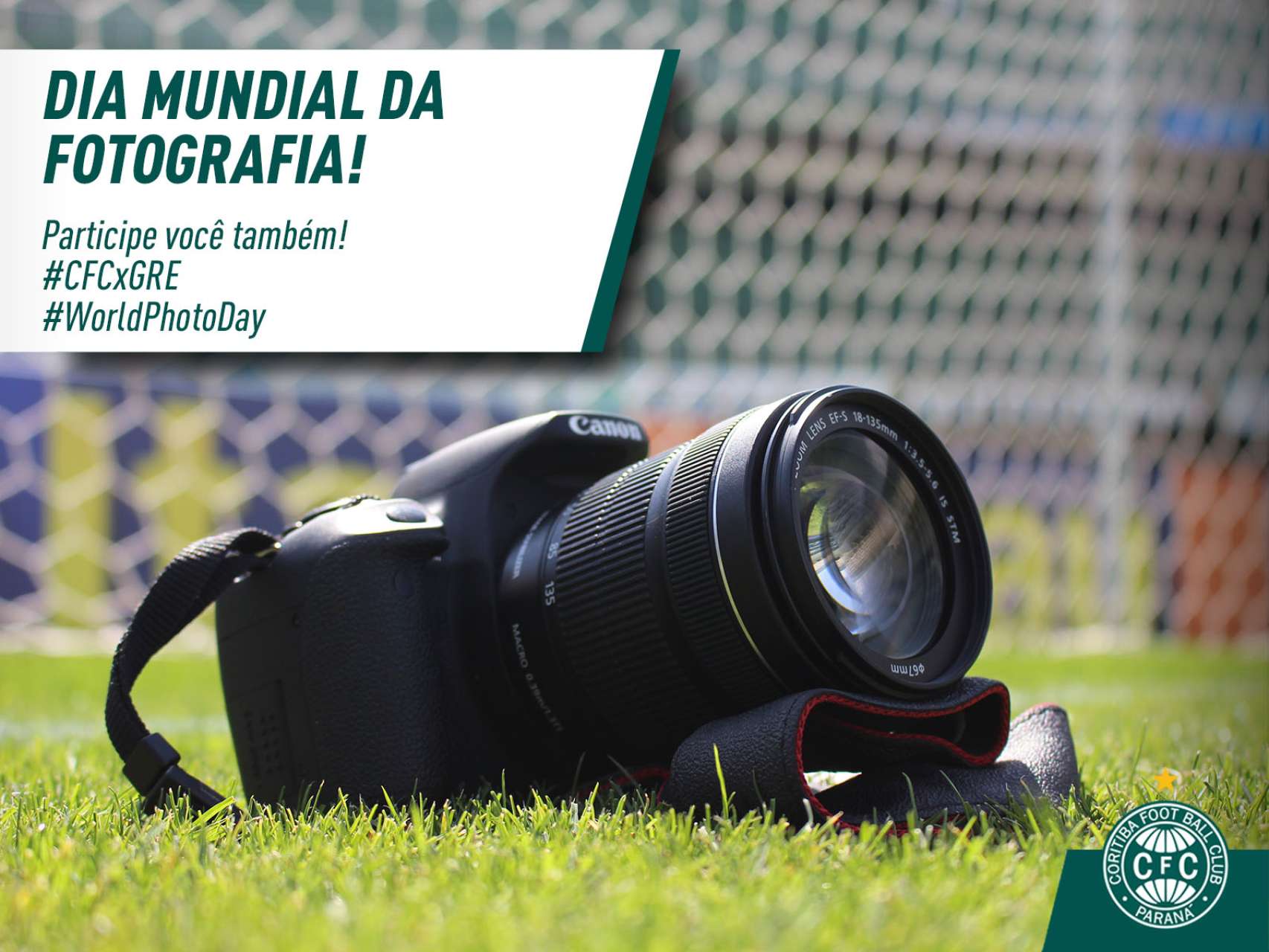 Dia da fotografia coxa-branca