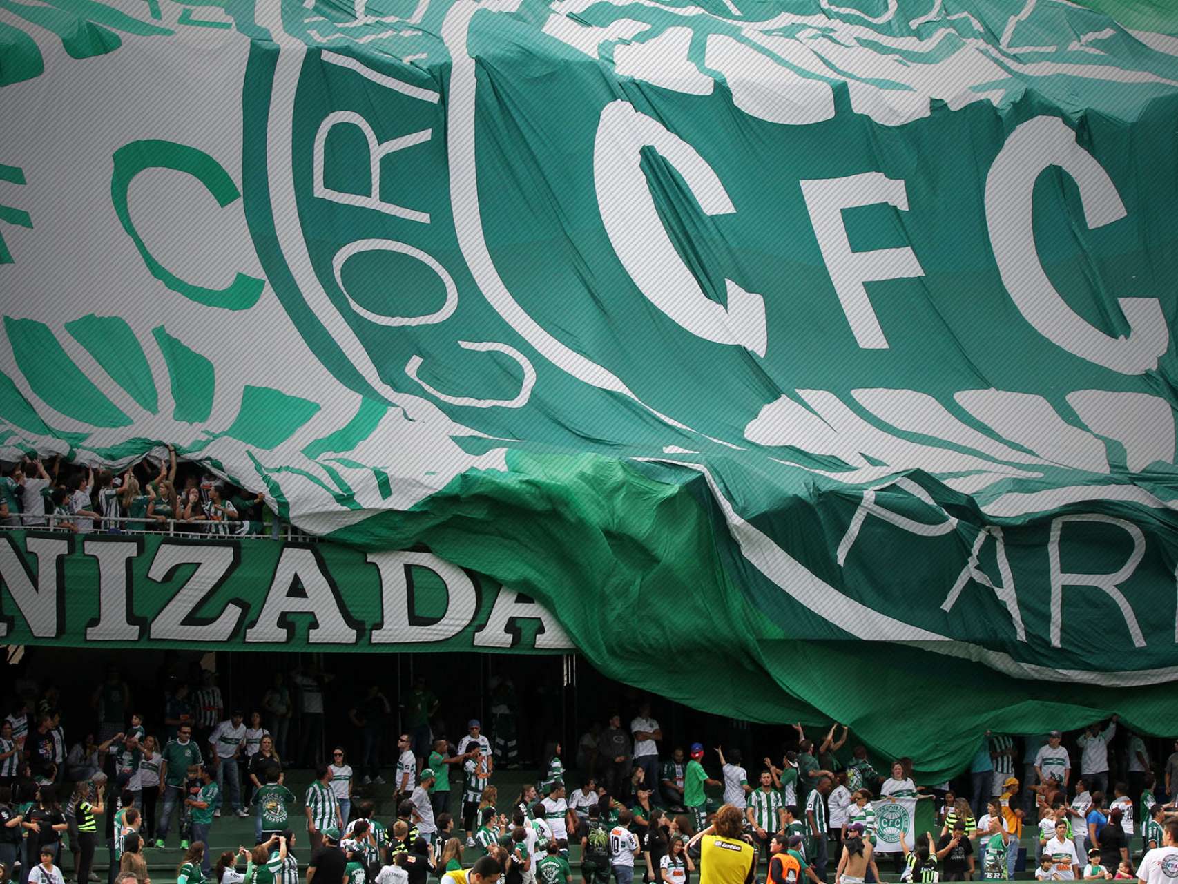 S�cios coxas-brancas participam de pesquisa