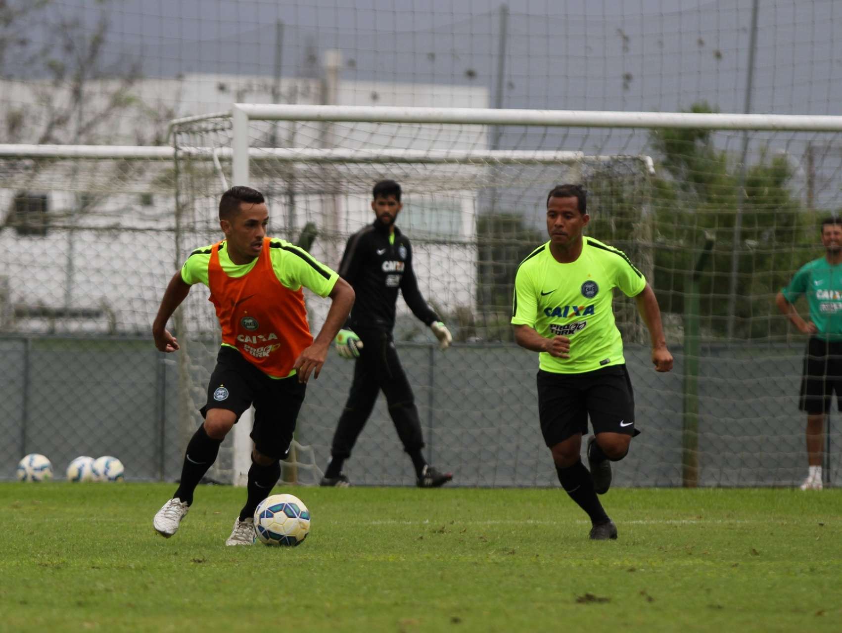 Galeria Coxa