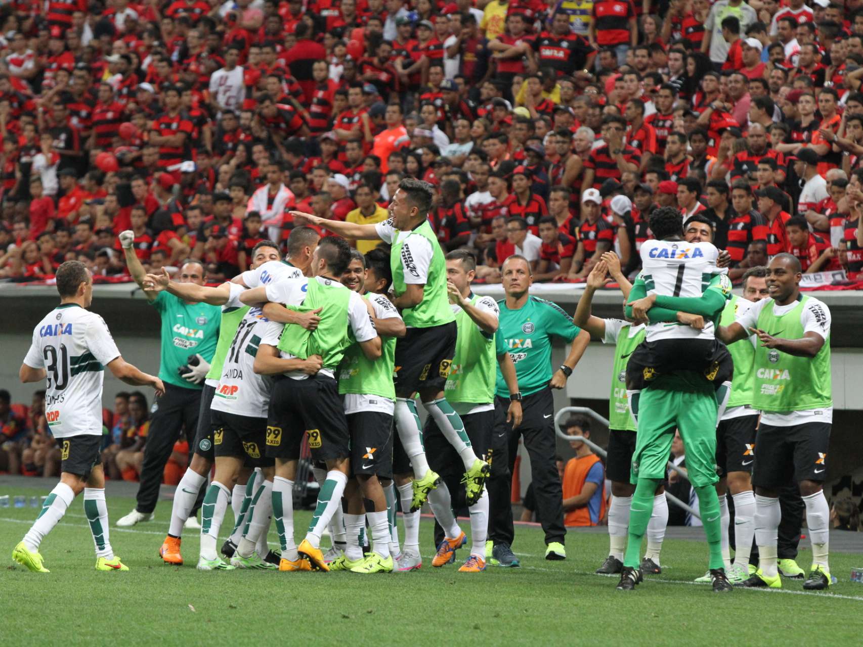 Setembro verde e branco