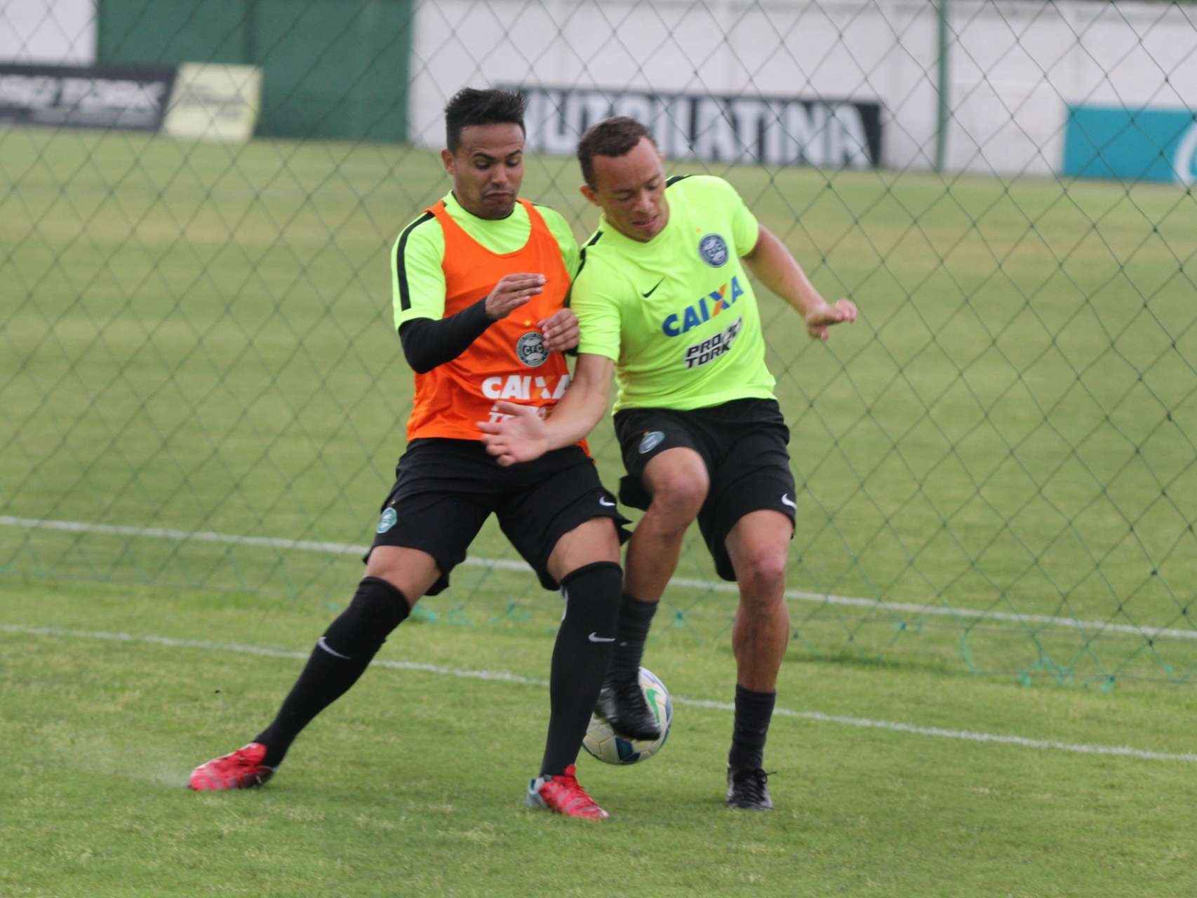 Galeria: fotos do treino