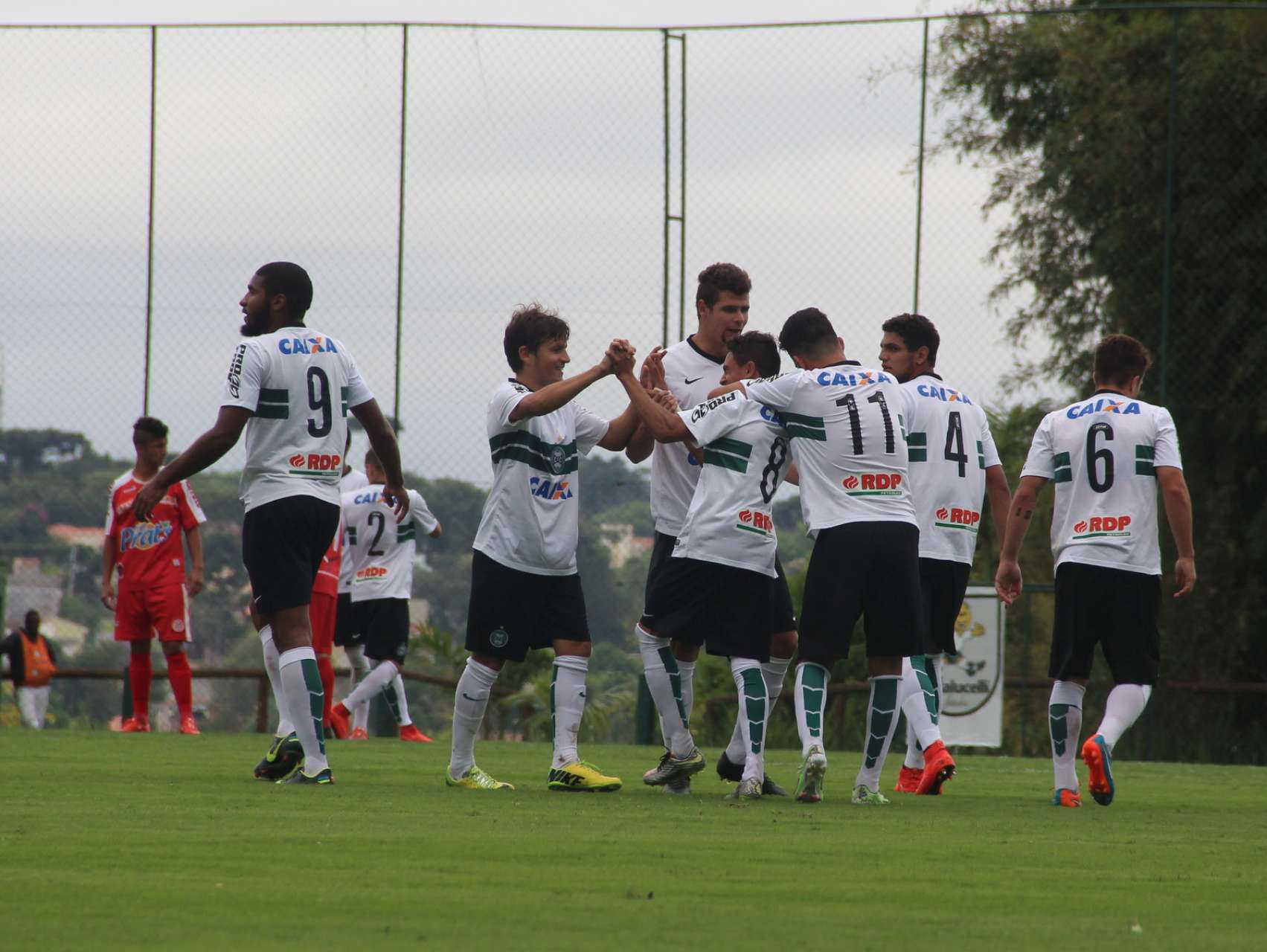 Coxa na semifinal!