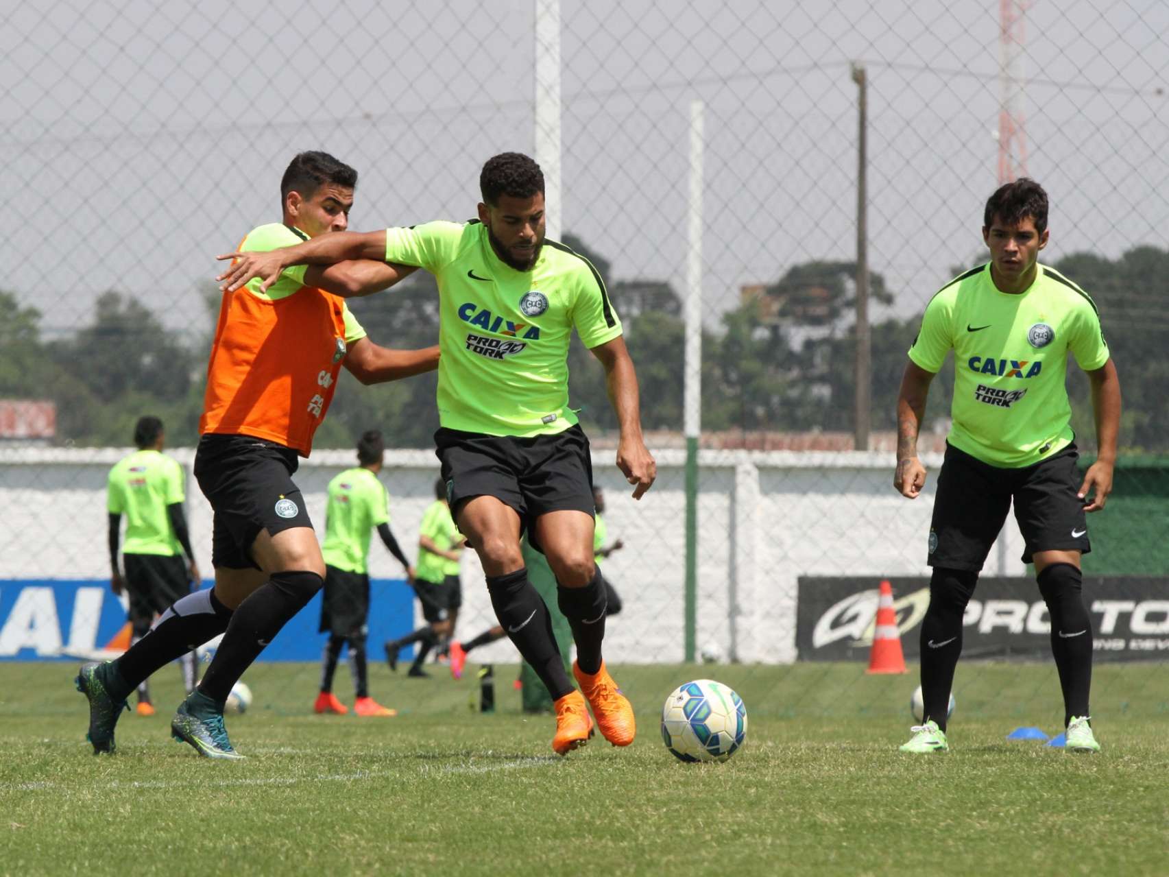 Galeria Coxa