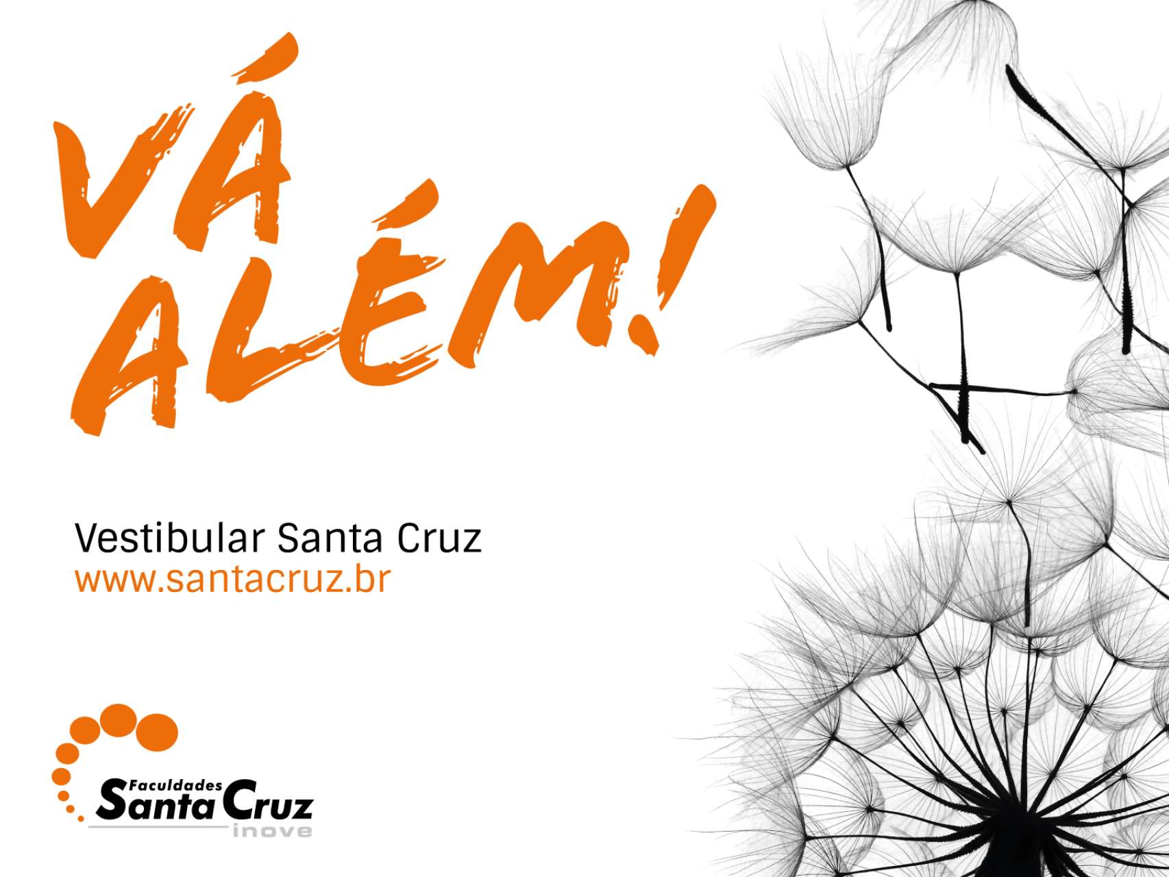 Novidade do Clube de Benef�cios