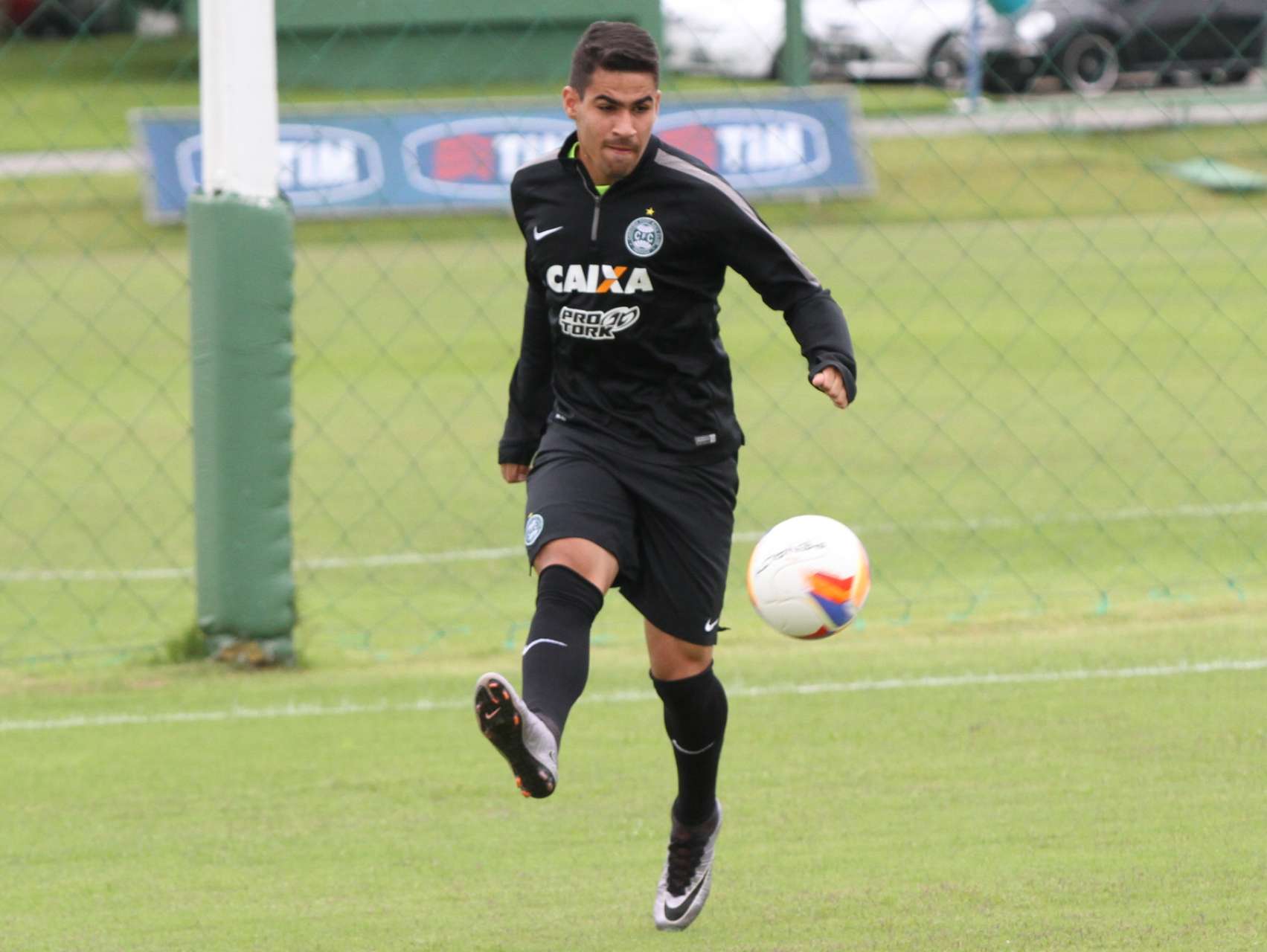 Novatos em cl�ssico