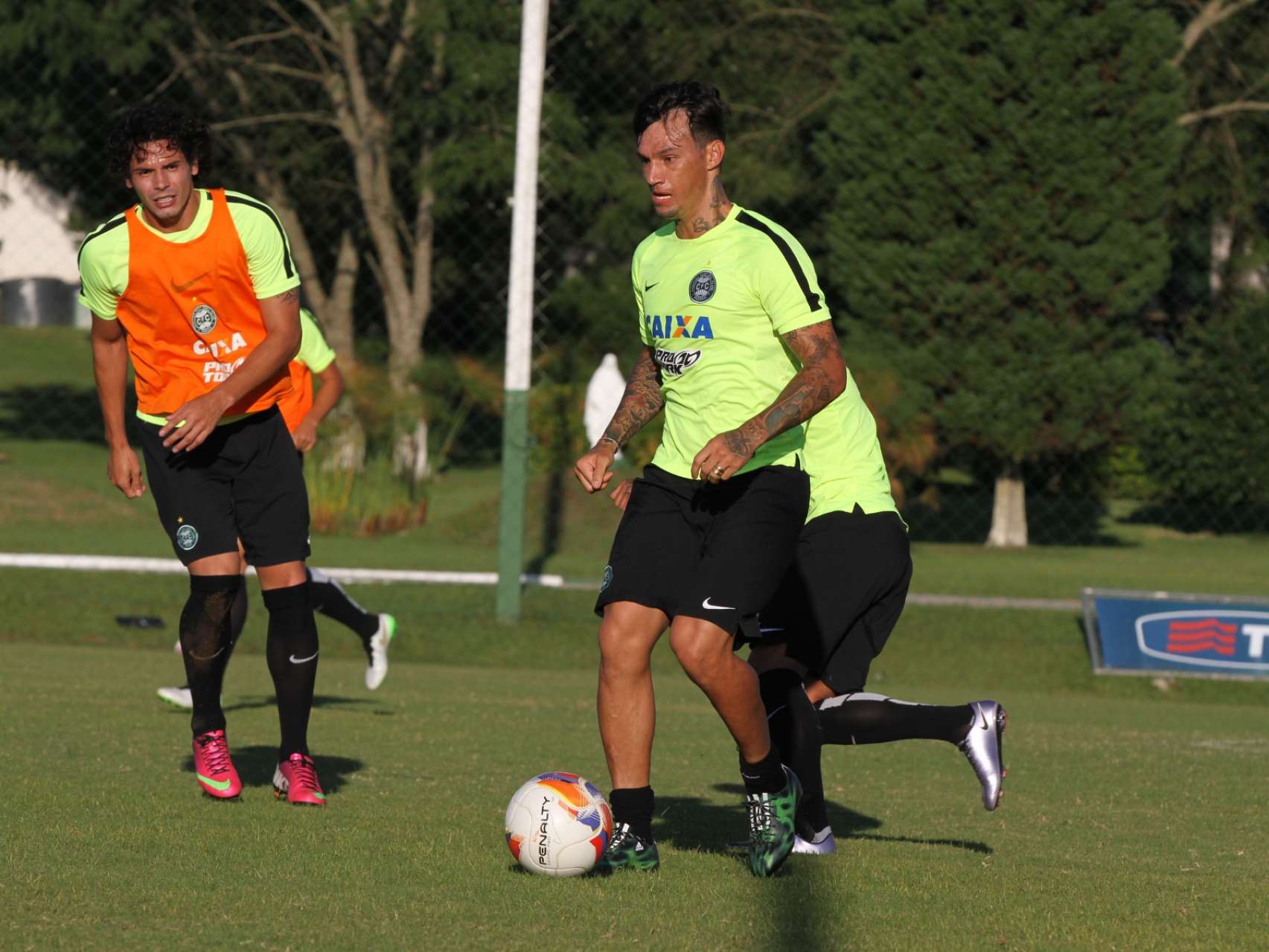 Sempre em campo