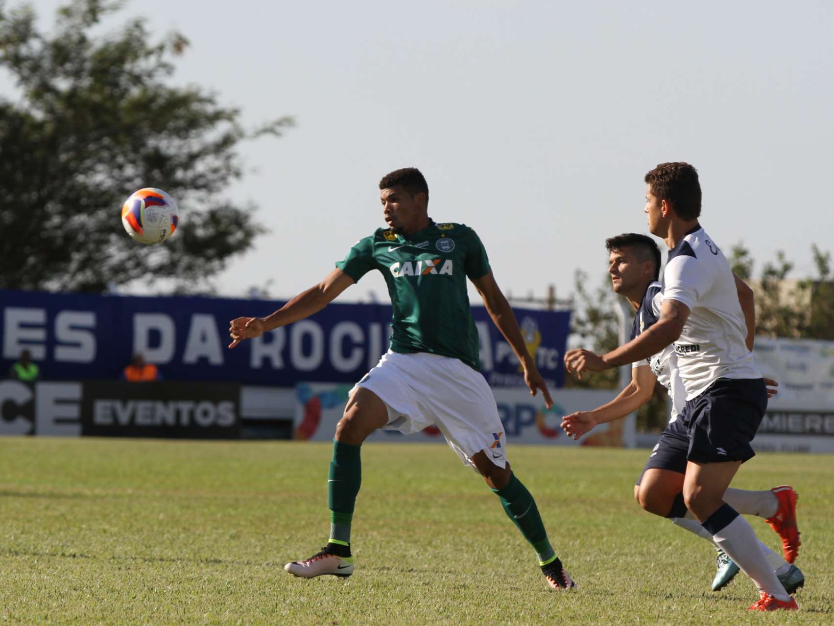 N�meros de Coxa x PSTC