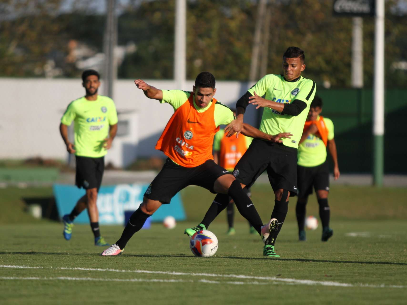 Galeria: imagens do treino
