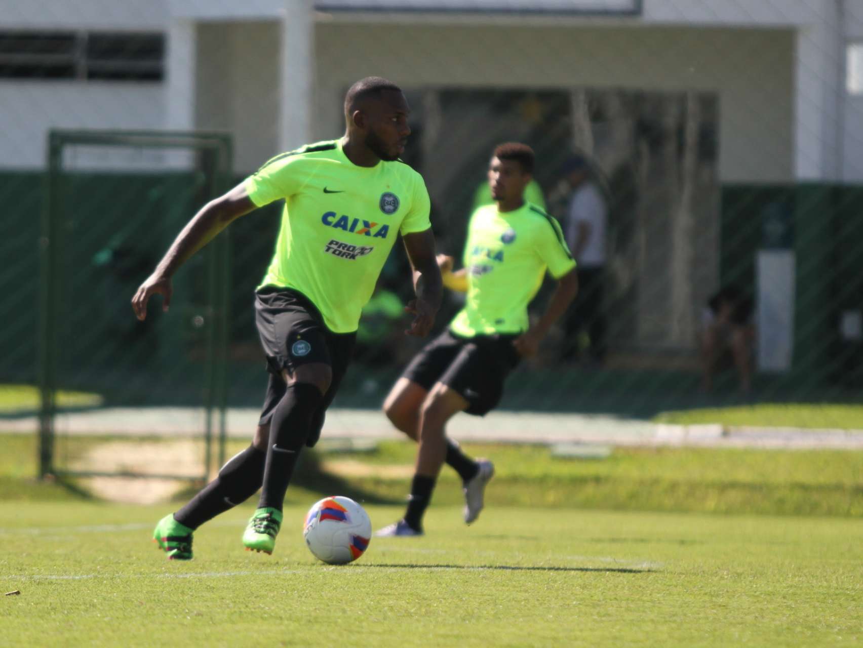 Prepara��o alviverde