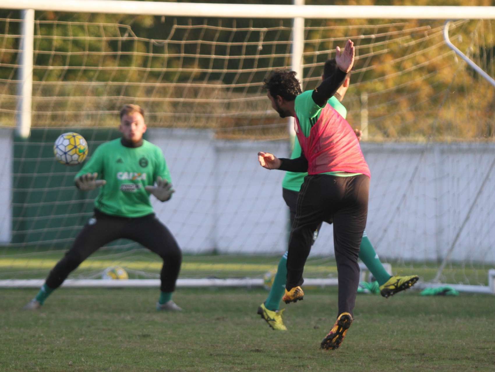 Galeria do Treino 