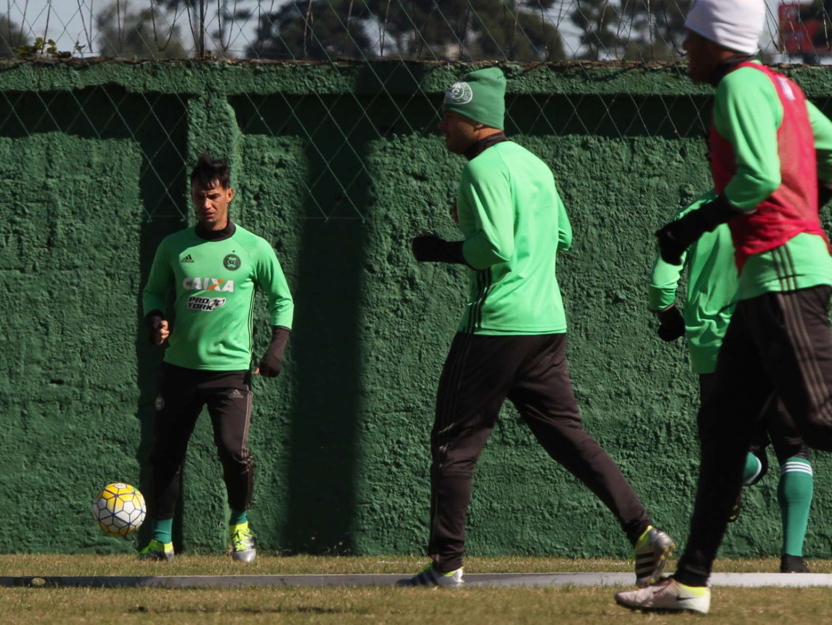 Agenda alviverde